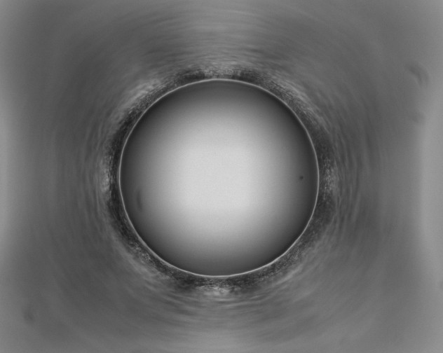 X0000113150687200909041234