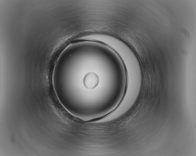 X0000113150688200909041234