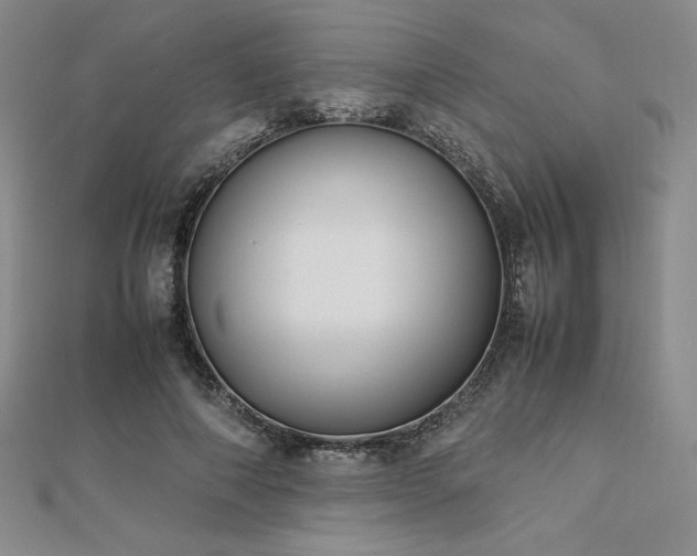 X0000113150690200909041234