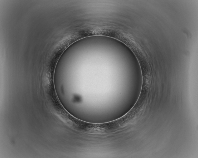 X0000113150691200909041234