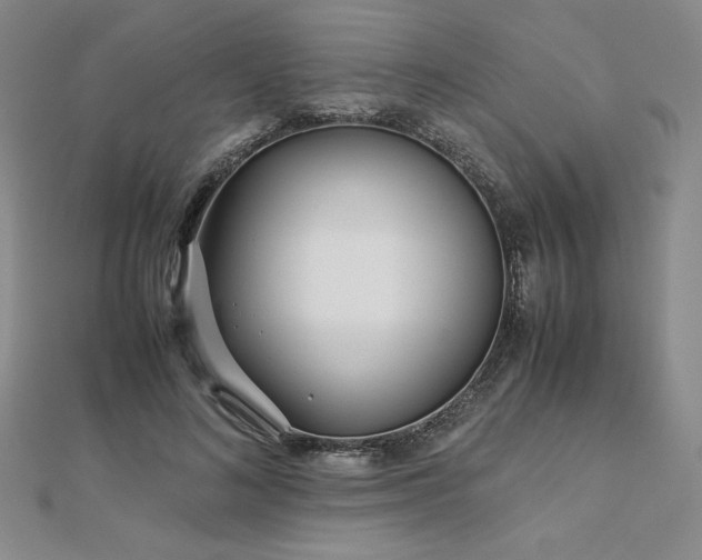 X0000113150692200909041234