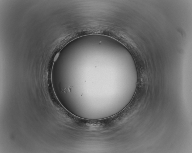 X0000113150693200909041234