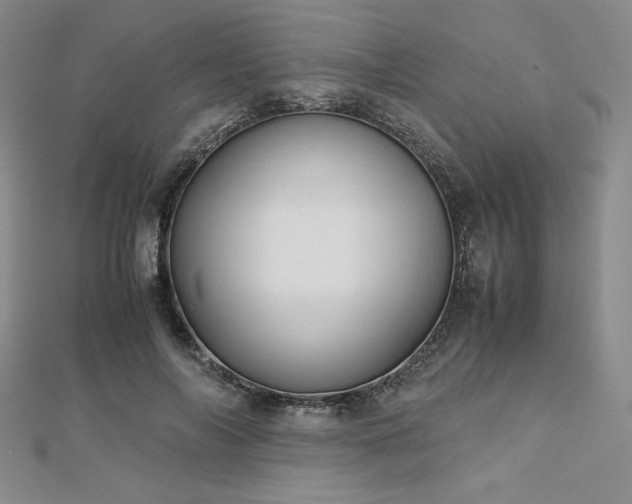 X0000113150694200909041234