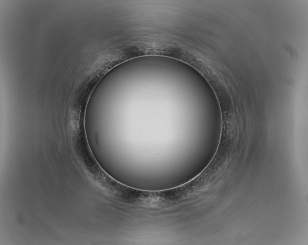 X0000113150695200909041234