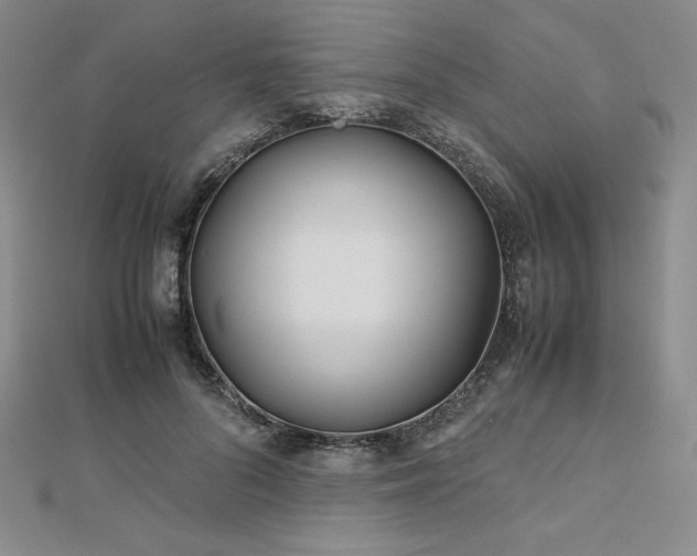 X0000113150696200909041233