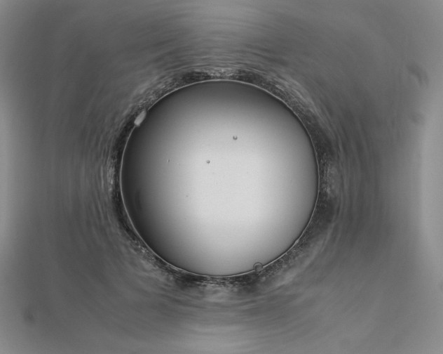 X0000113150697200909041233