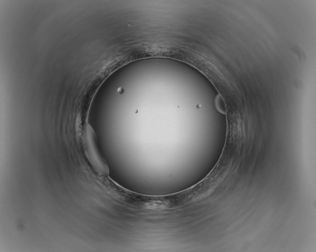 X0000113150700200909041233