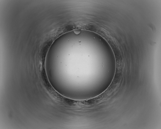 X0000113150703200909041233