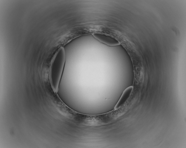 X0000113150704200909041233