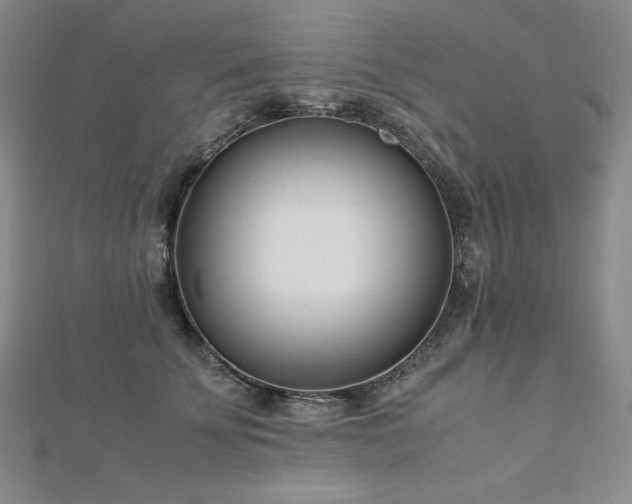 X0000113150707200909041233