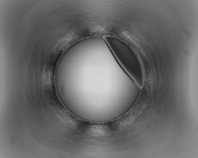 X0000113150708200909041233