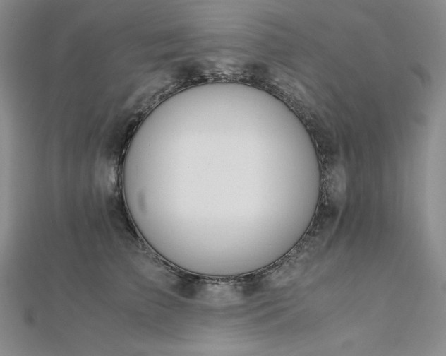 X0000113150709200909041233