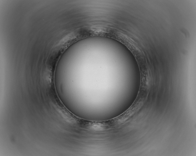 X0000113150710200909041233