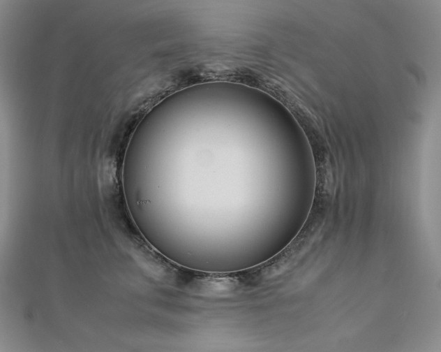 X0000113150711200909041233