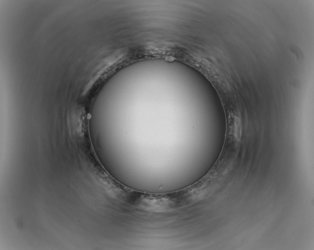 X0000113150712200909041233