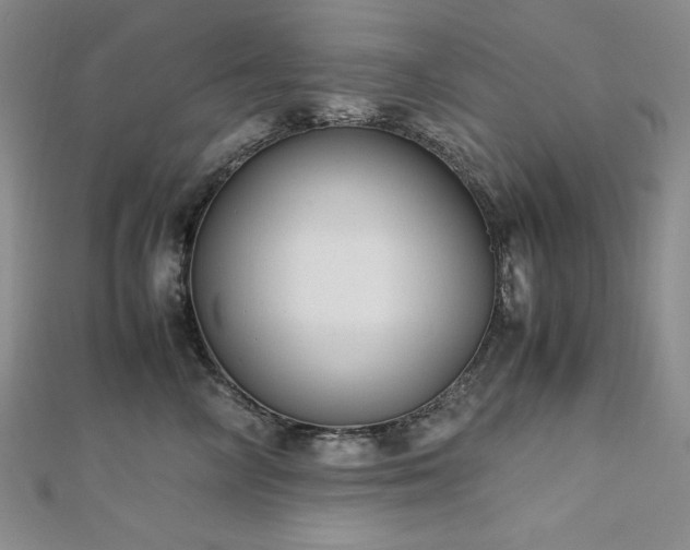 X0000113150714200909041233