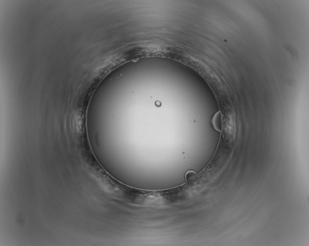 X0000113150715200909041233