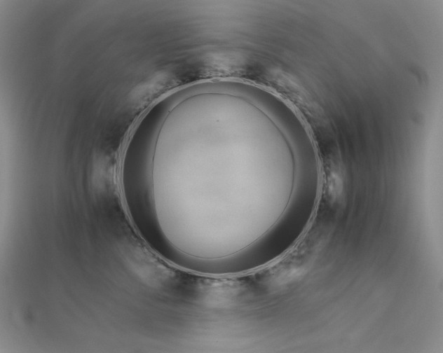 X0000113150716200909041233