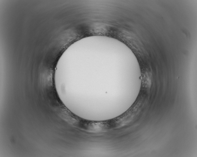 X0000113150717200909041233