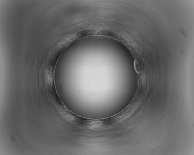 X0000113150719200909041233