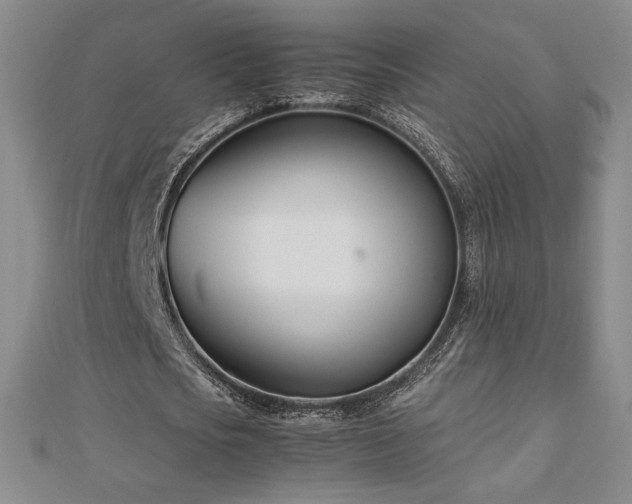 X0000113150721200909041232