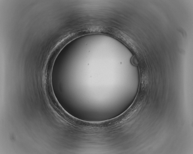 X0000113150722200909041232