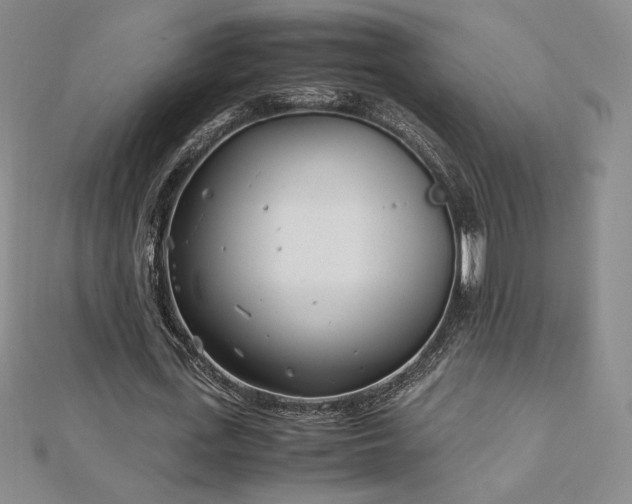 X0000113150723200909041232