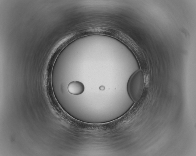 X0000113150724200909041232