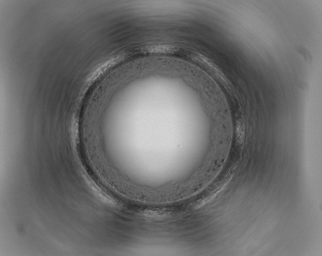 X0000113150725200909041232