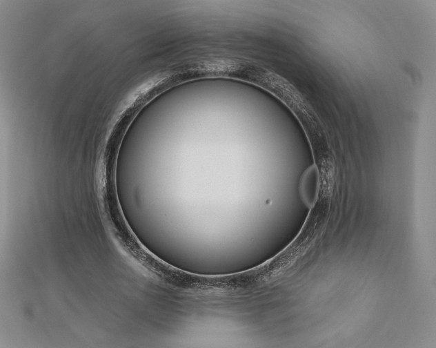 X0000113150726200909041232