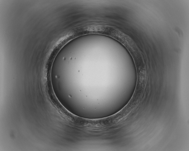 X0000113150727200909041232