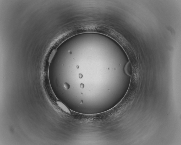 X0000113150728200909041232