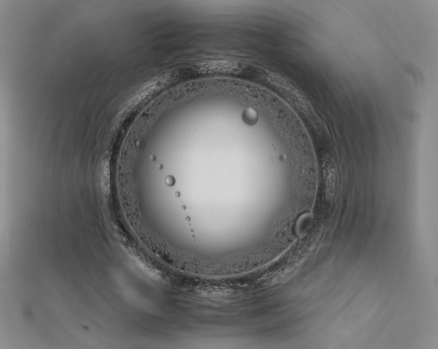 X0000113150729200909041233