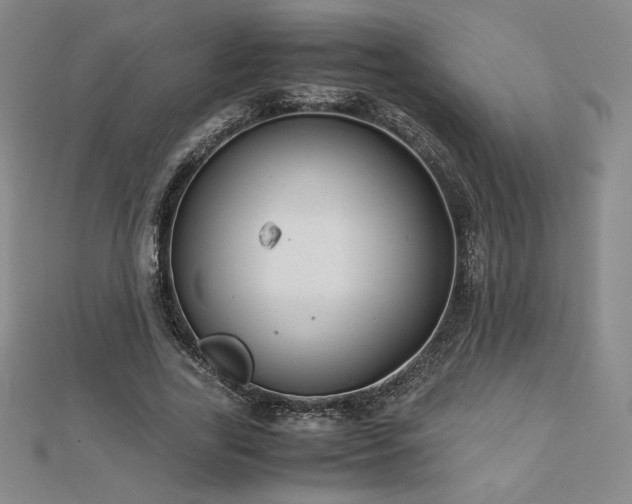 X0000113150731200909041233