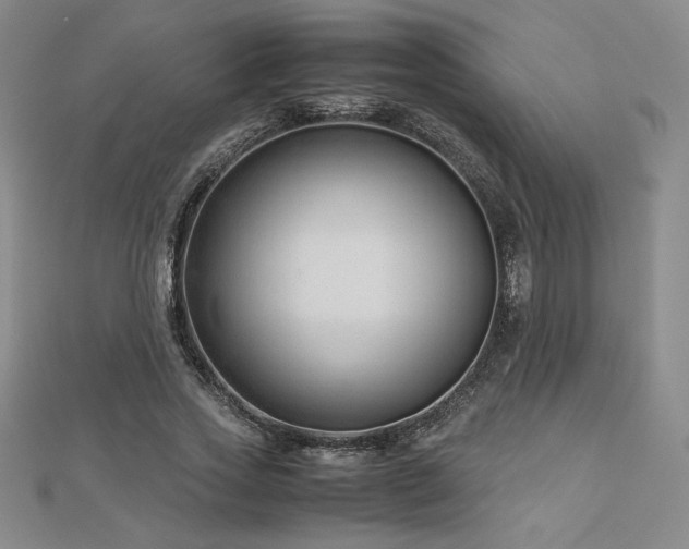 X0000113150733200909041233