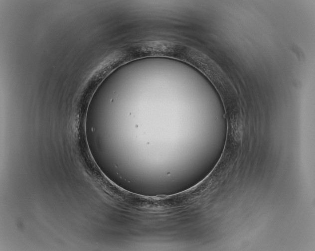 X0000113150735200909041233