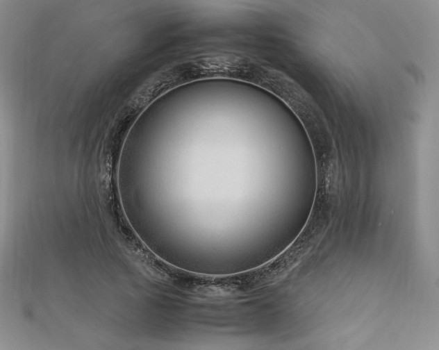 X0000113150737200909041233