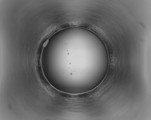 X0000113150738200909041233