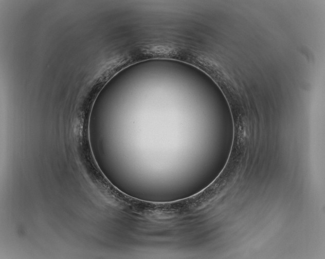 X0000113150739200909041233