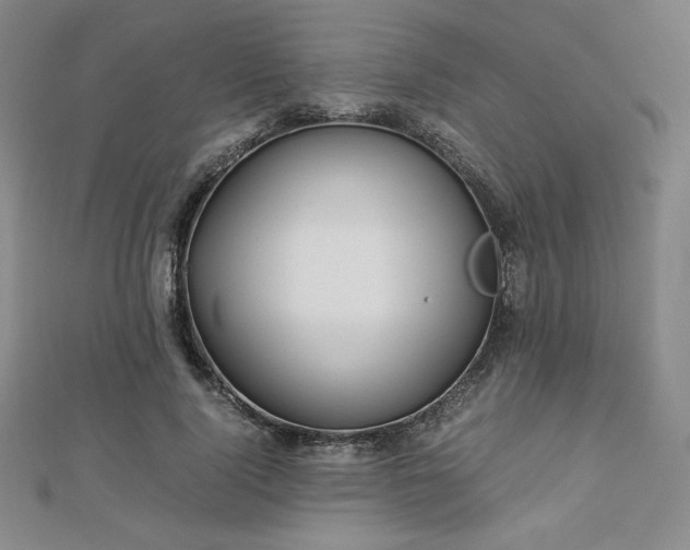 X0000113150740200909041233