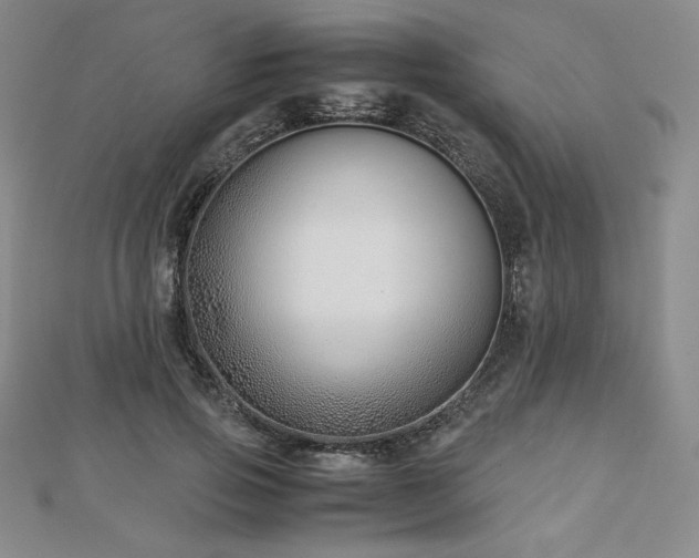 X0000113150741200909041233