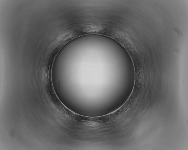 X0000113150743200909041233