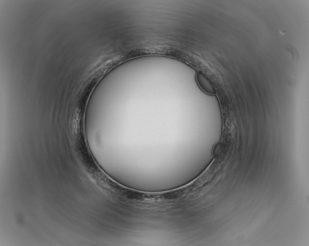 X0000113150744200909041233