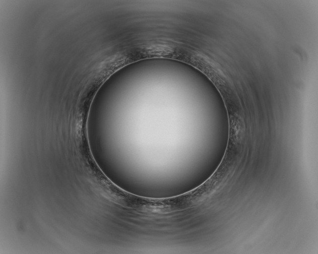 X0000113150745200909041233