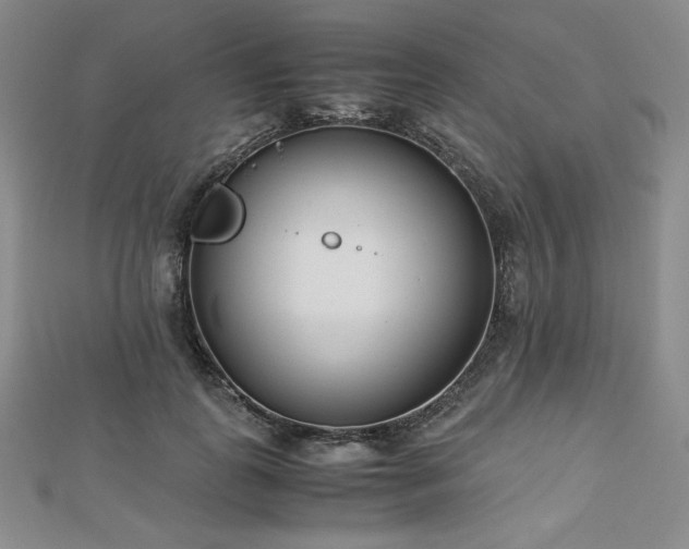 X0000113150747200909041233