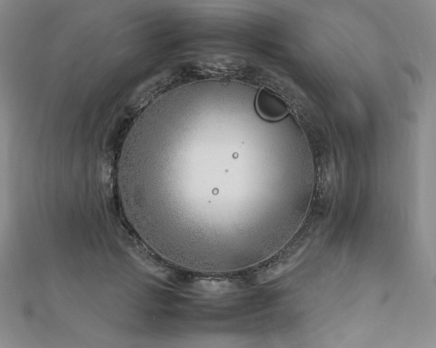 X0000113150749200909041233