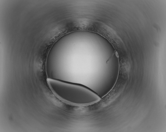 X0000113150750200909041233