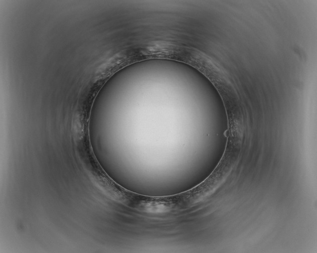 X0000113150751200909041233