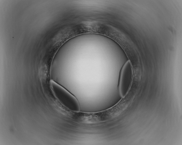 X0000113150752200909041233