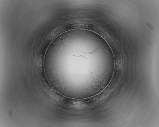 X0000113150753200909041233